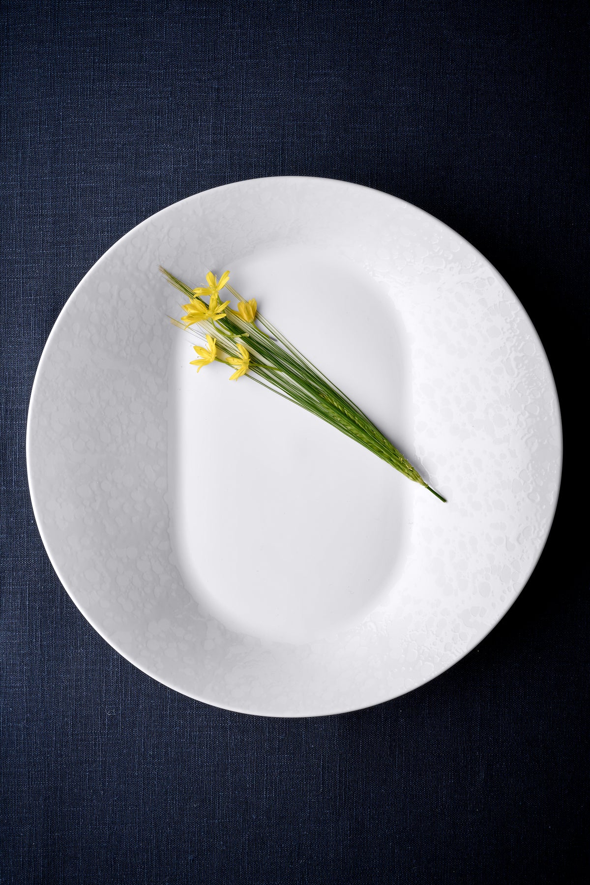Lagoon Plate