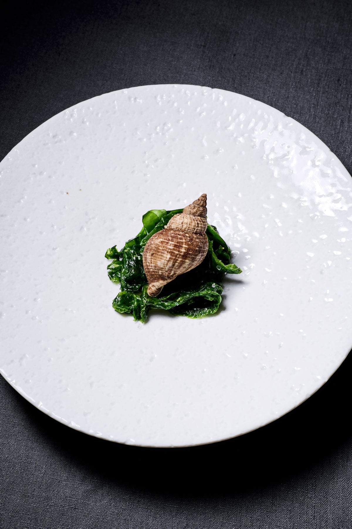Rock plate (22cm)